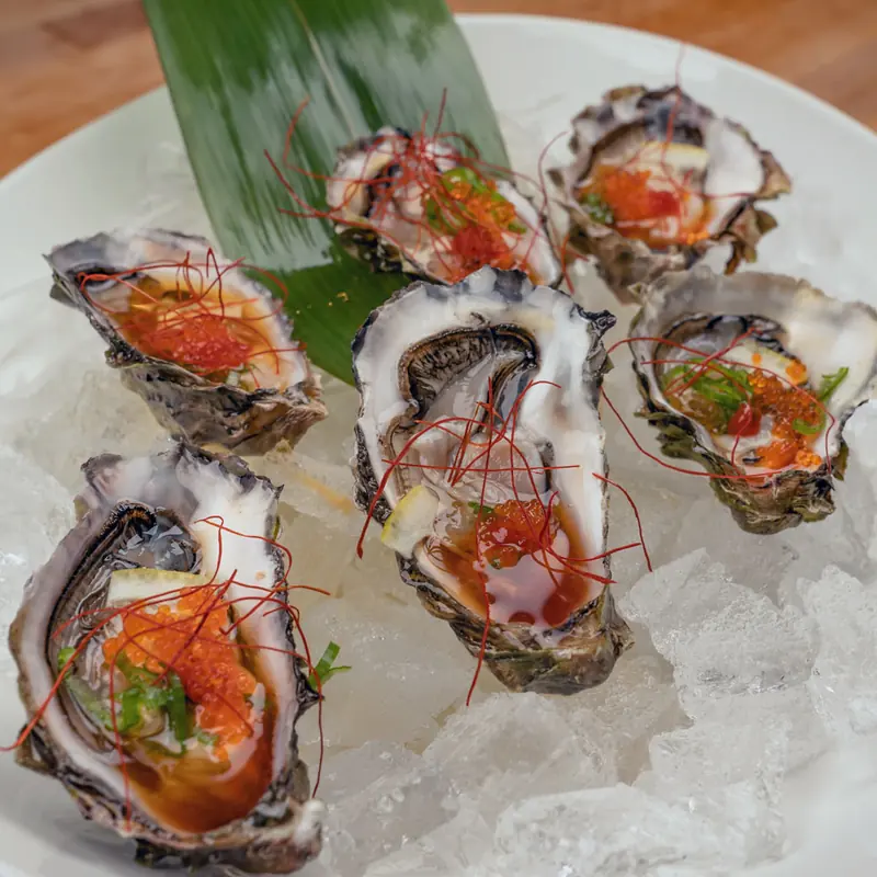Half dozen fresh oysters served on ice with garnish.